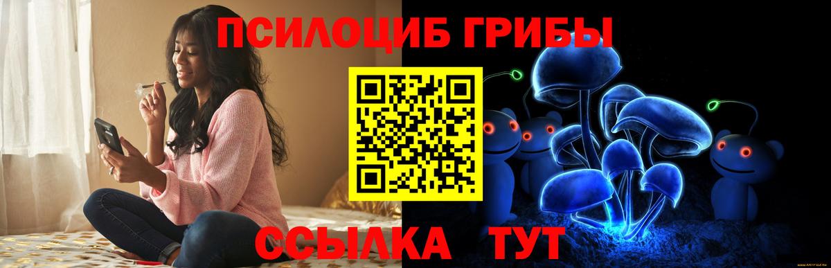 Псилоцибиновые грибы MAGIC MUSHROOMS  где найти наркотики  Чернушка  Вход с VPN 